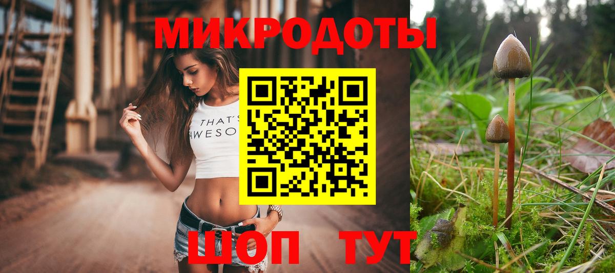 Усть-Илимск  Псилоцибиновые грибы GOLDEN TEACHER  Галлюциногенные грибы Cubensis  Вход с VPN 